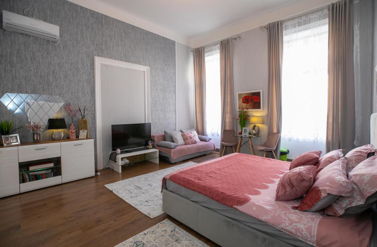 Casa Larisa Apartment Arad Exterior photo